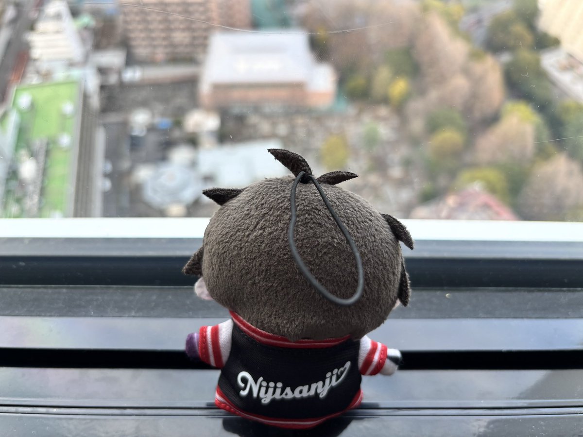 みーちゃん tweet media