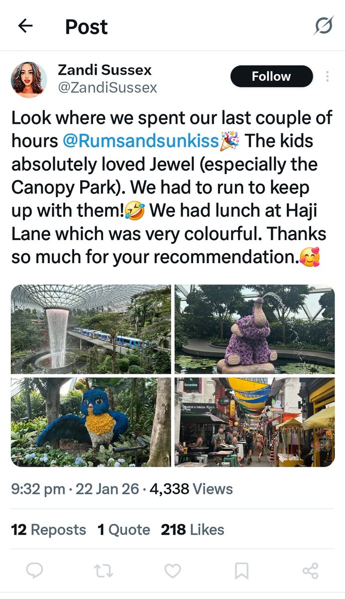 The Lady of Glencoe Wood tweet media