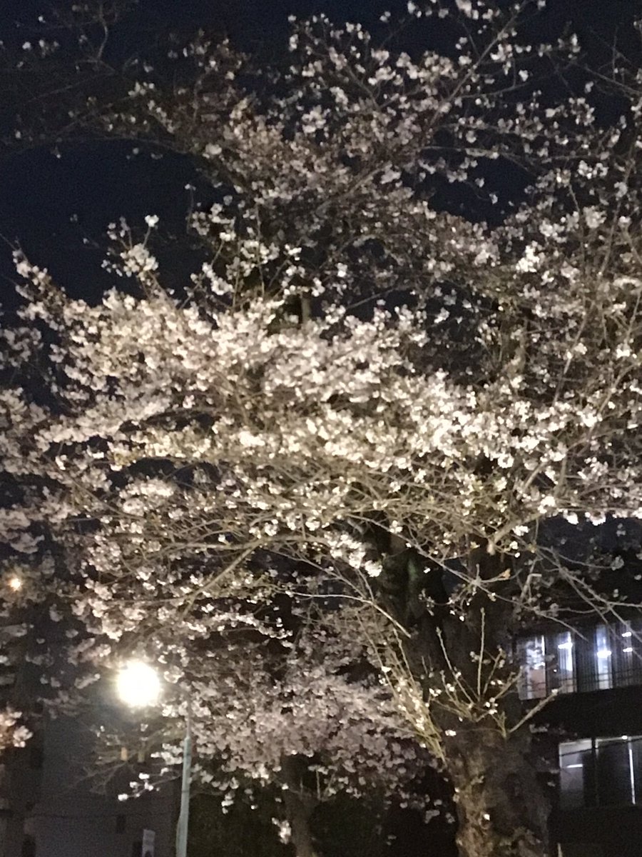 吉川りんか@目黒 tweet media