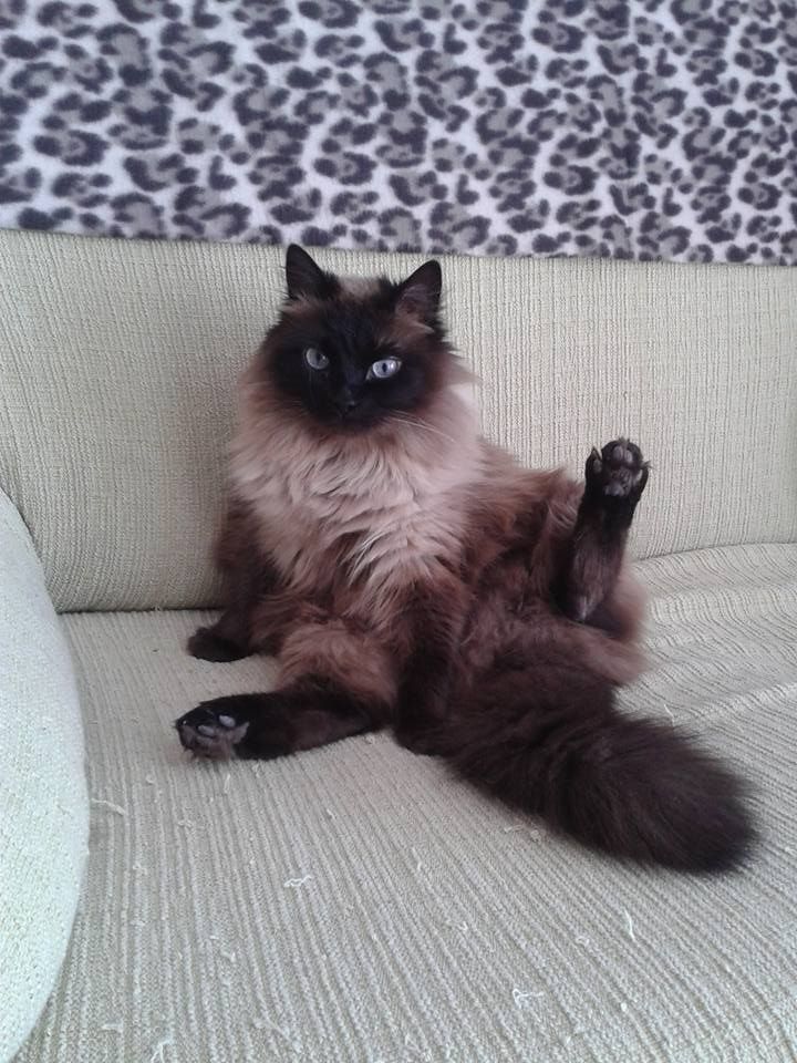 ลุงสิน tweet media