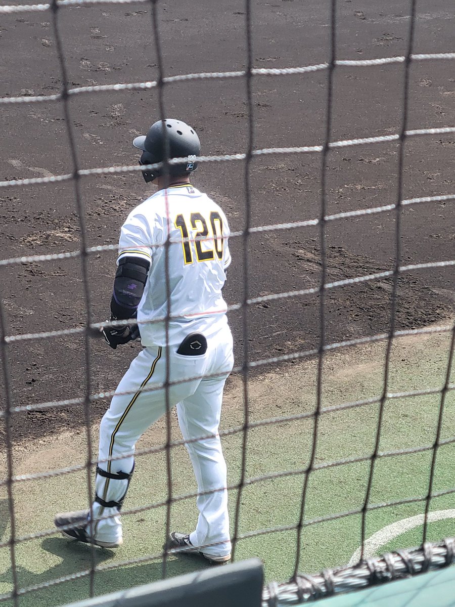 かまちゃん tweet media