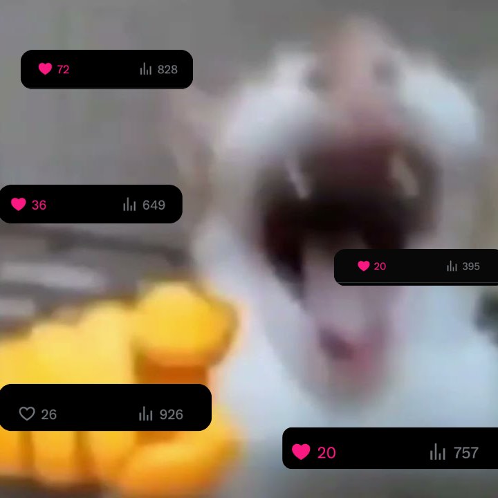 icebearcute tweet media