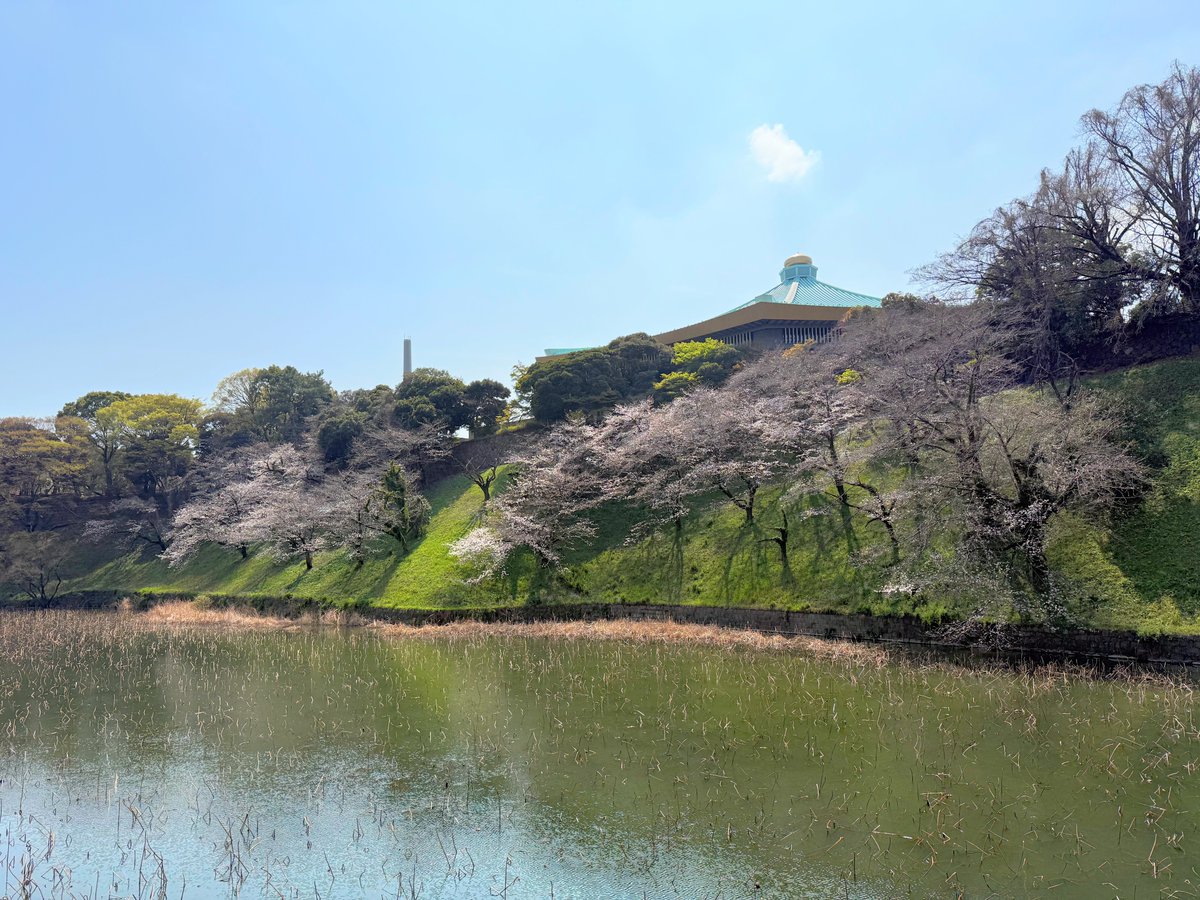 ハッチャン：ランニングアドバイザー tweet media