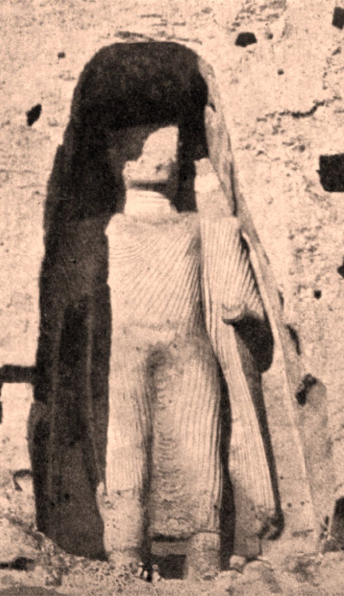 Till Wöhler tweet media