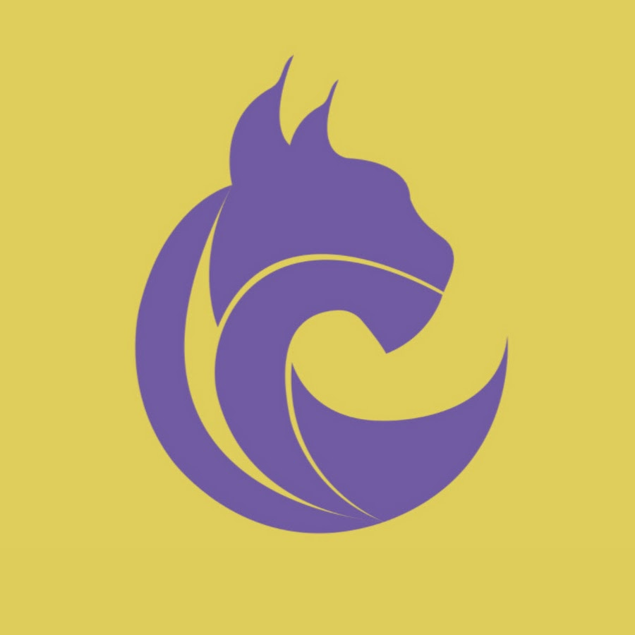 ellhamy🌸كاتبة محتوى tweet media