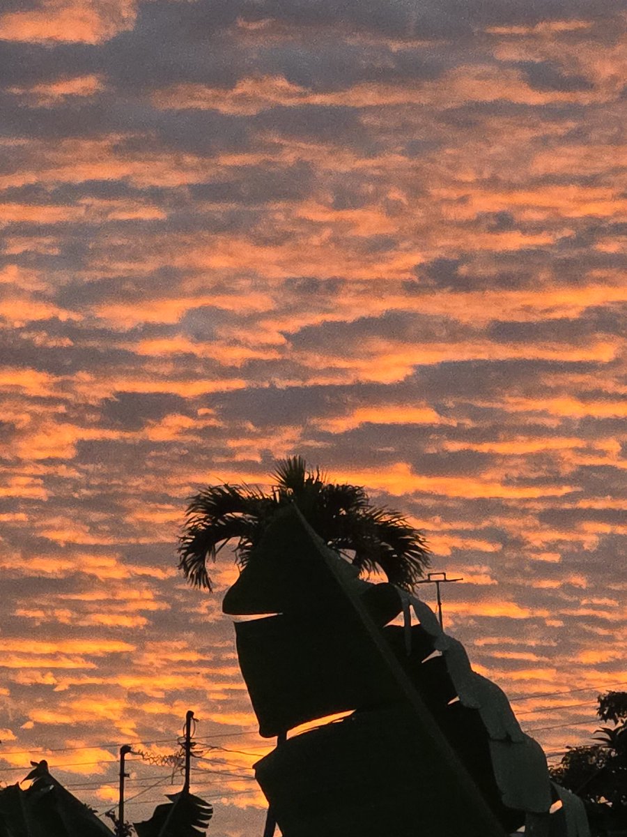 Yayi Soto📖 tweet media