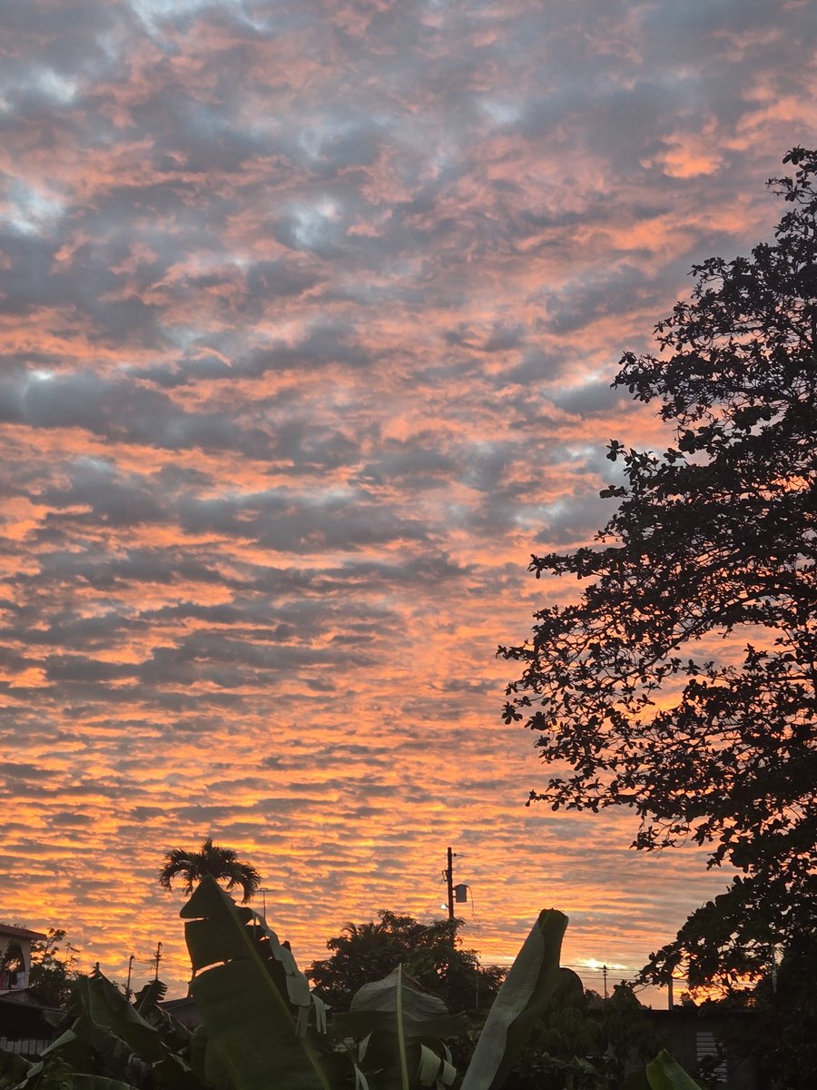 Yayi Soto📖 tweet media