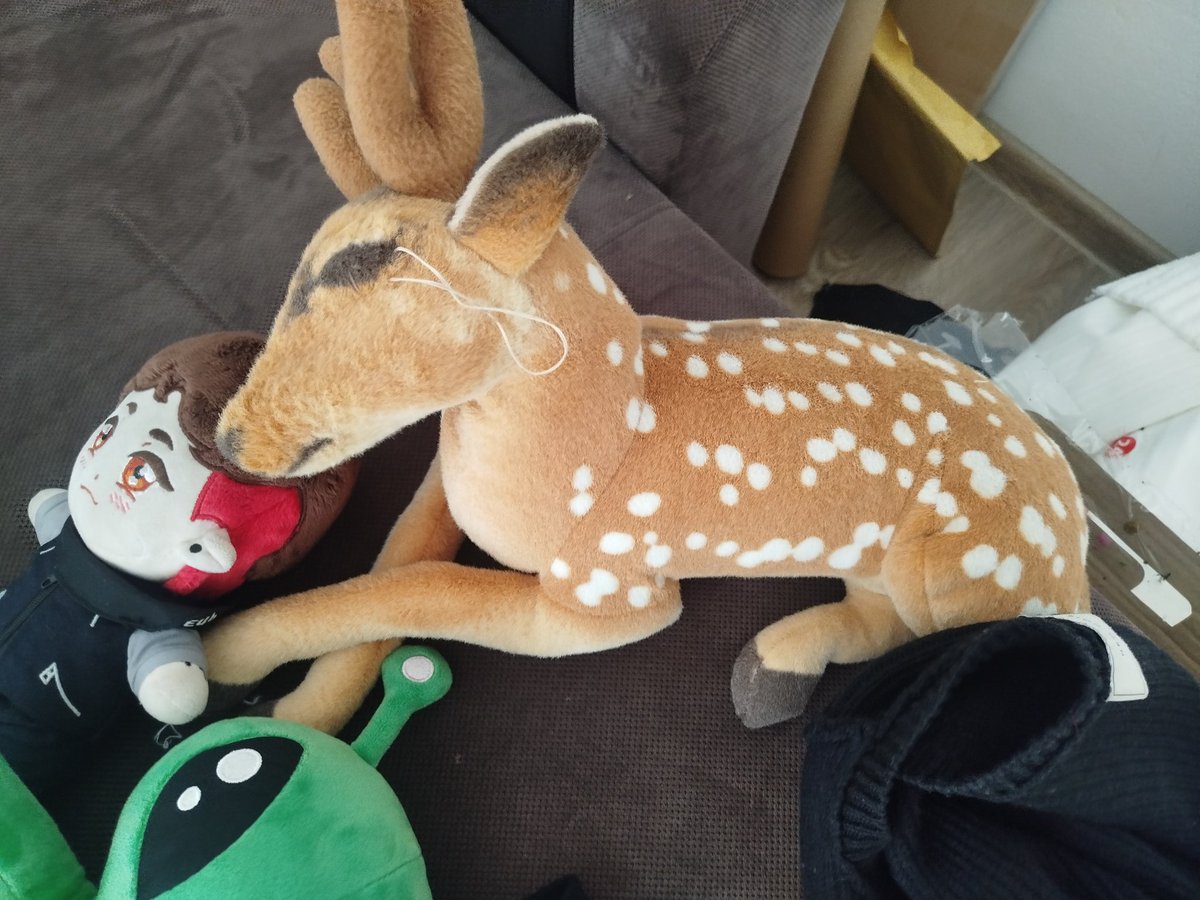 .spøøky wik ψ tweet media