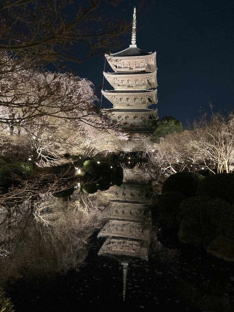 ふぁんた🏠🌾💜 tweet media