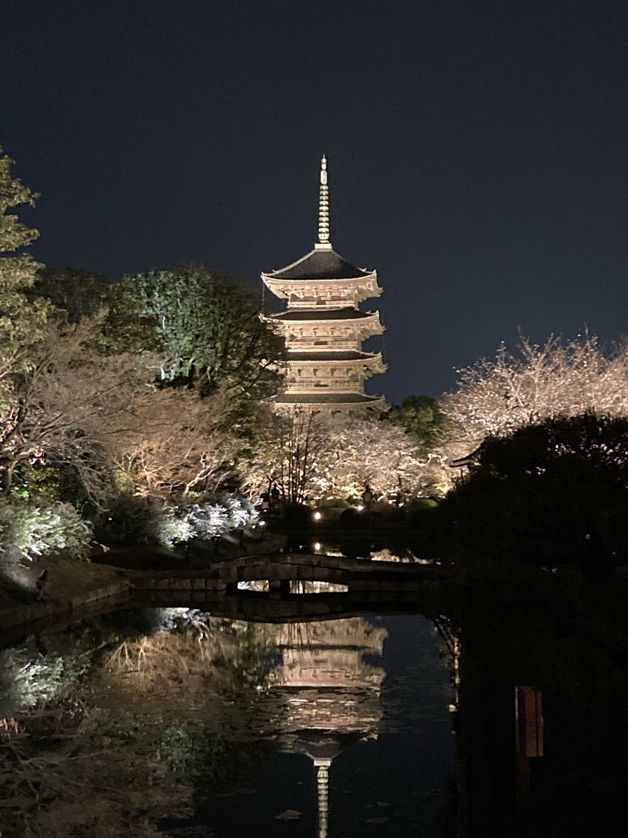 ふぁんた🏠🌾💜 tweet media