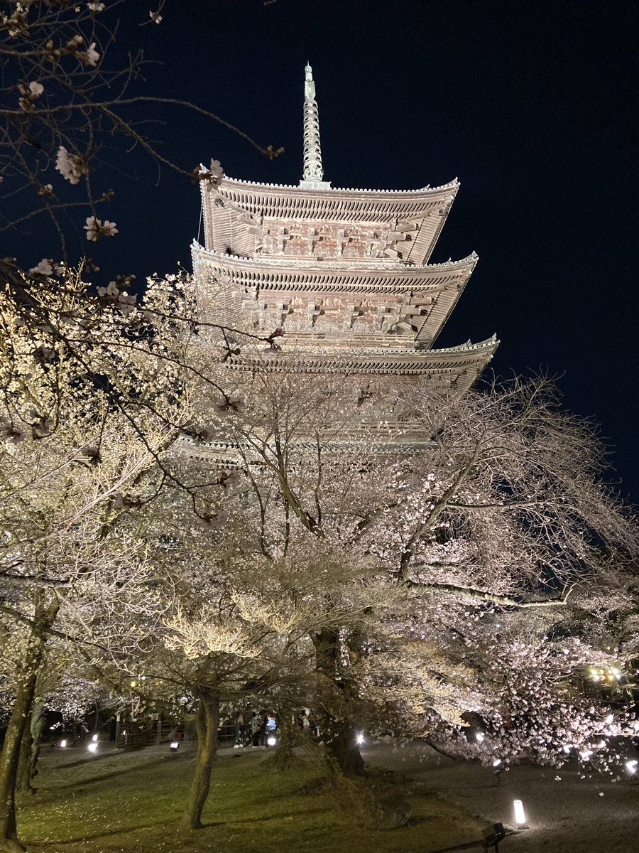 ふぁんた🏠🌾💜 tweet media