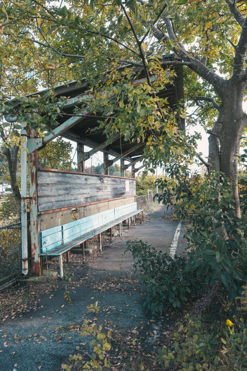 𓃰 𝕣𝕒𝕟 𓃰 フィルムで廃墟 tweet media