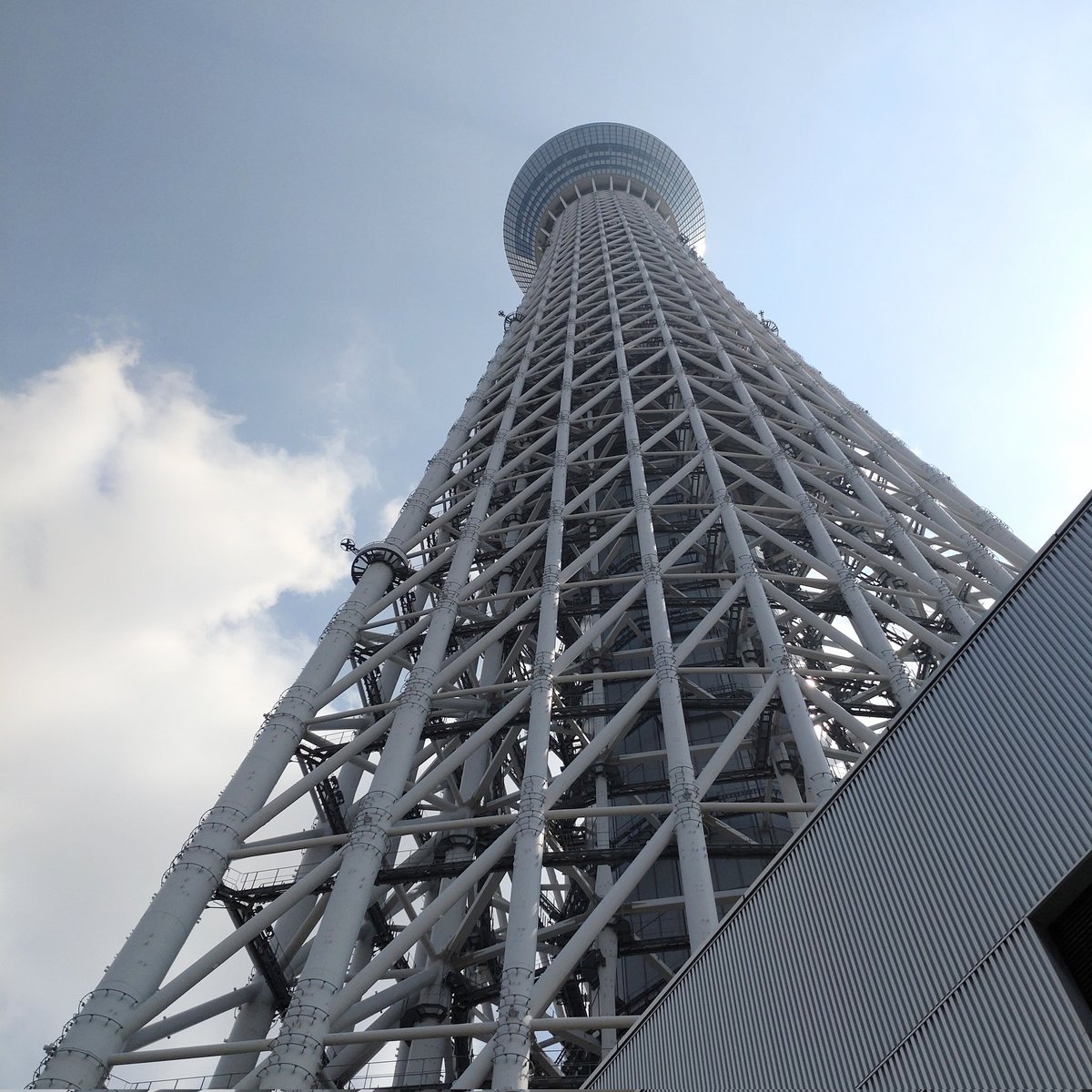 れい tweet media
