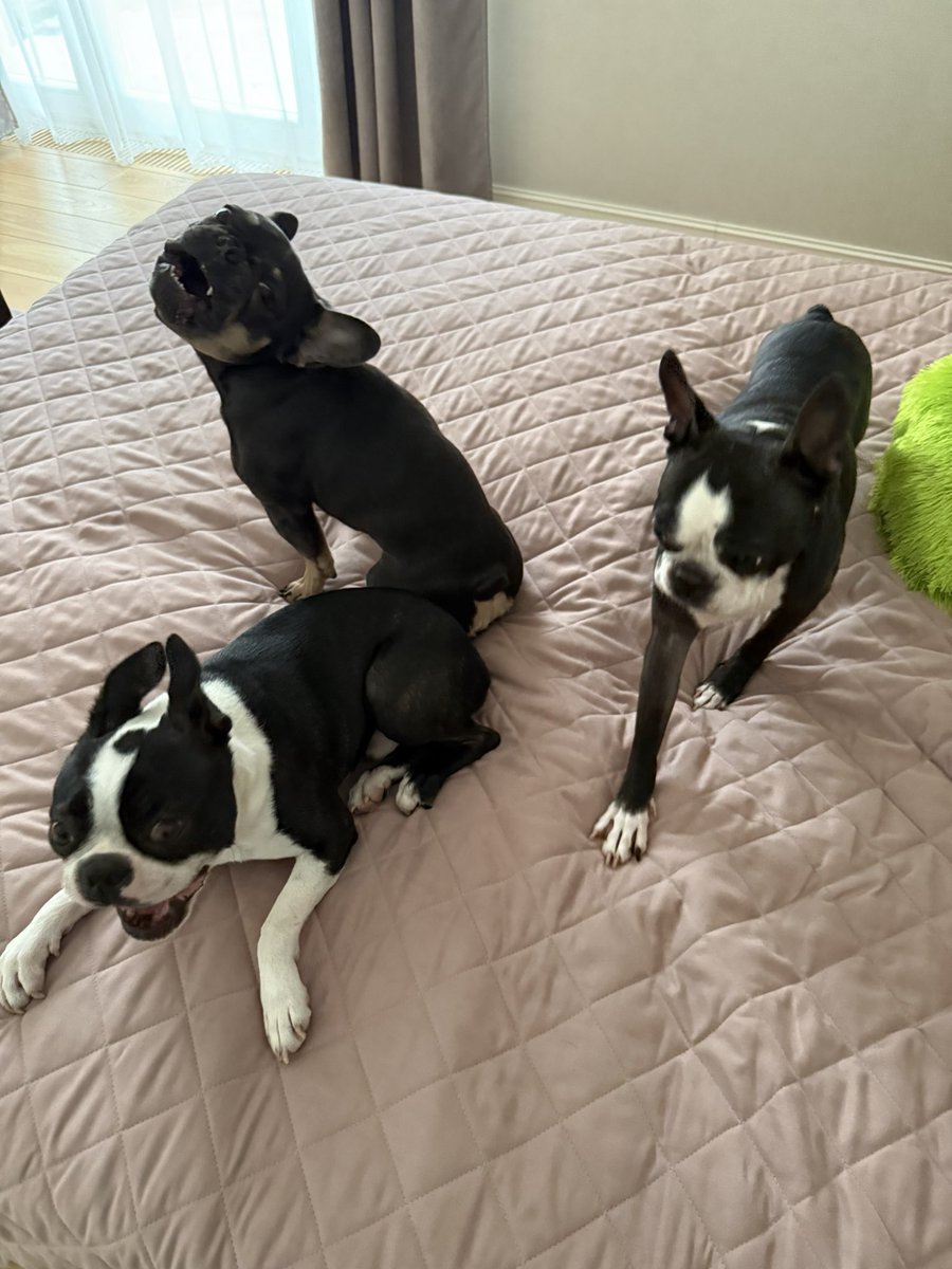 🏴☠️кейкпопс🏴☠️ tweet media