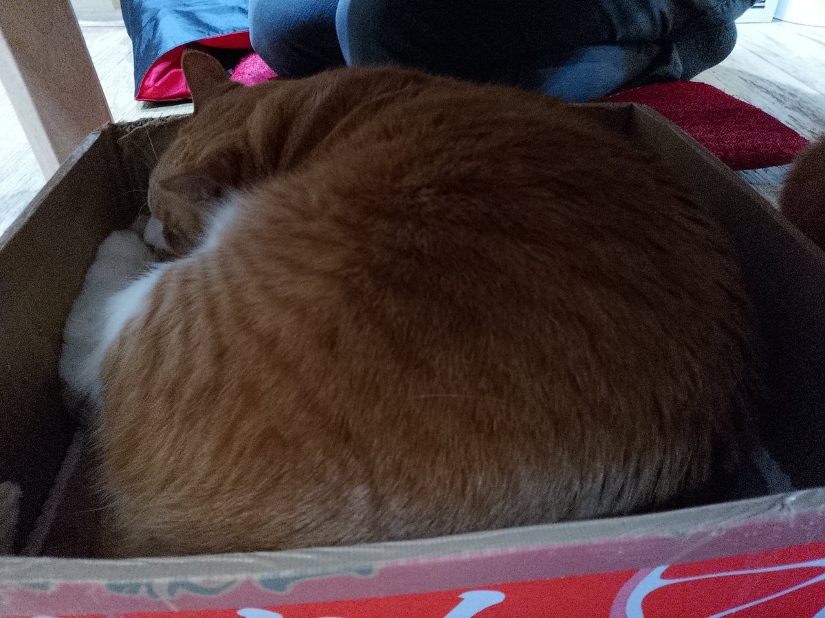 Cesse🍶 tweet media