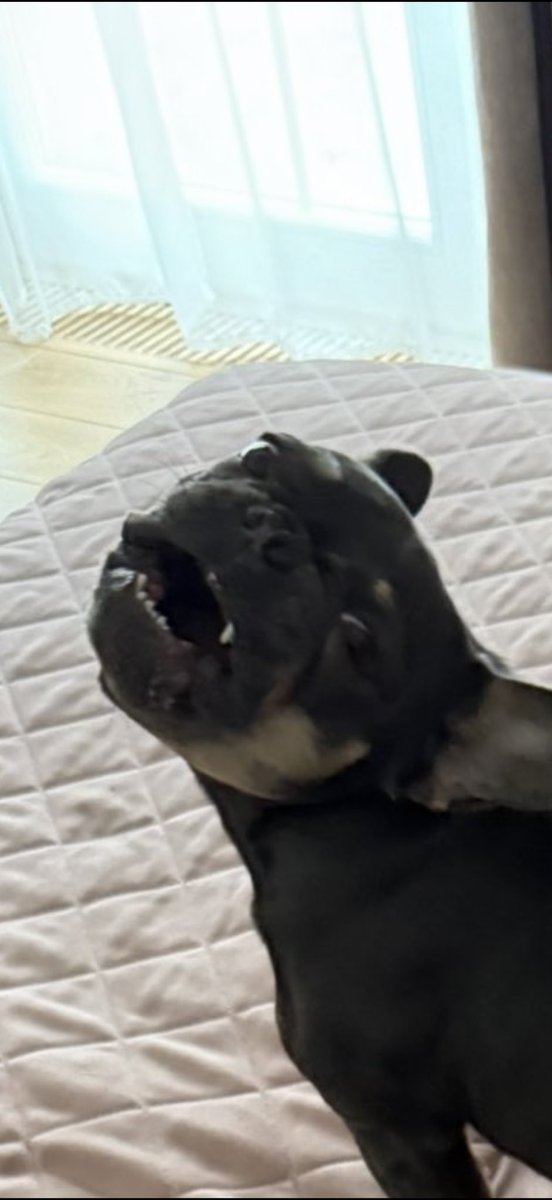 🏴☠️кейкпопс🏴☠️ tweet media