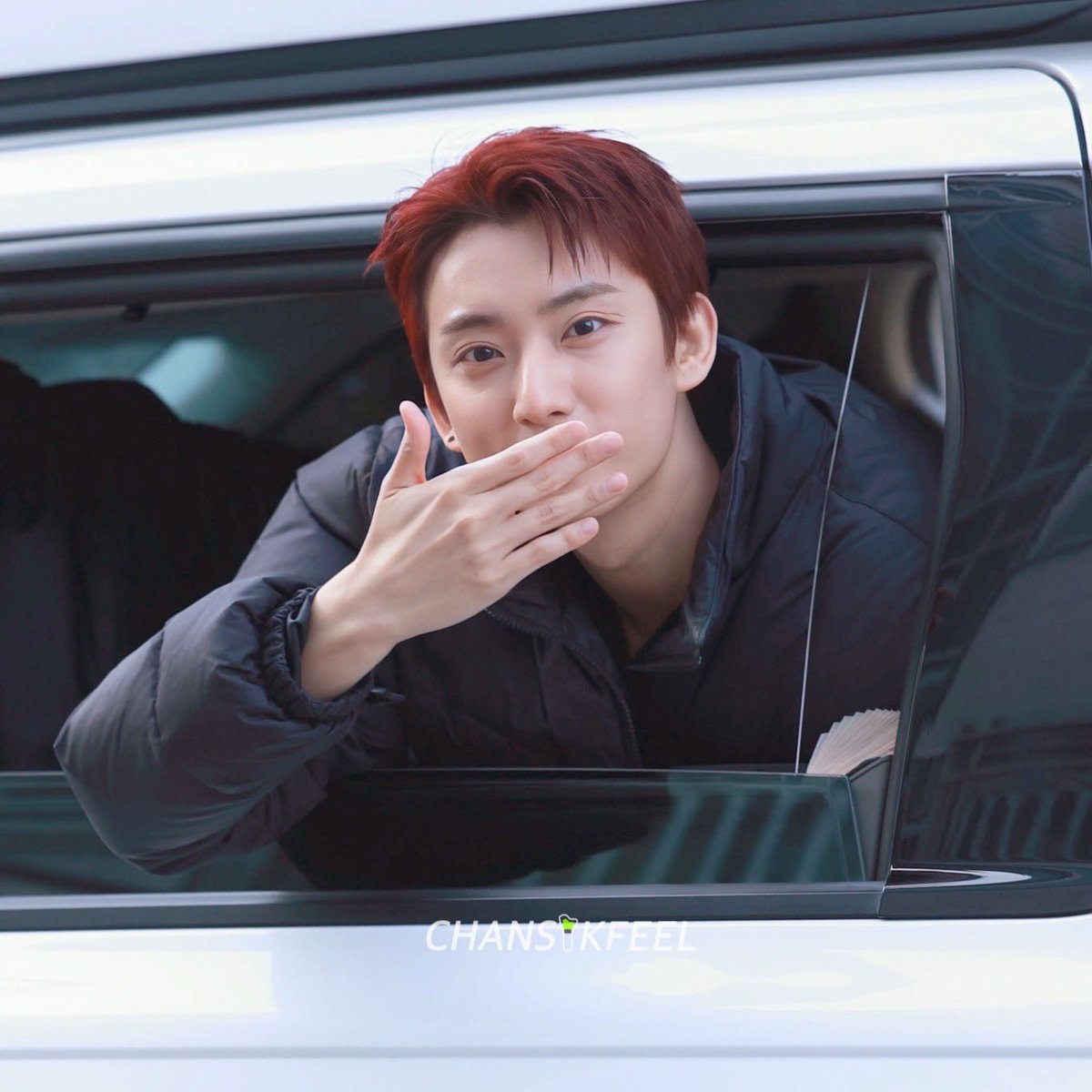 𝘾𝙃𝘼𝙉𝙎𝙄𝙆𝙁𝙀𝙀𝙇 🐾🫧공찬 tweet media