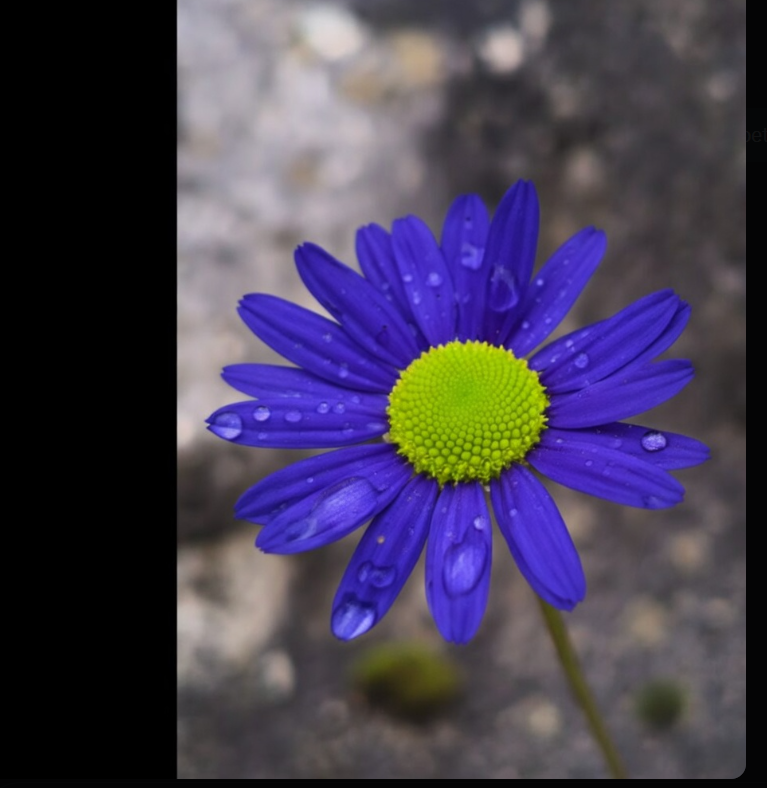 En esa geometría y formas..
en patrones que componen y se nos escapan...
resumido a una fórmula a aplicar..
divididos y sin recursos compartidos.. 
peleados por minucias..
en el punto... de partida... 

#Katharsis

#Conciencia #Psicología #Motivación #Emprender #Vitoria #Gasteiz