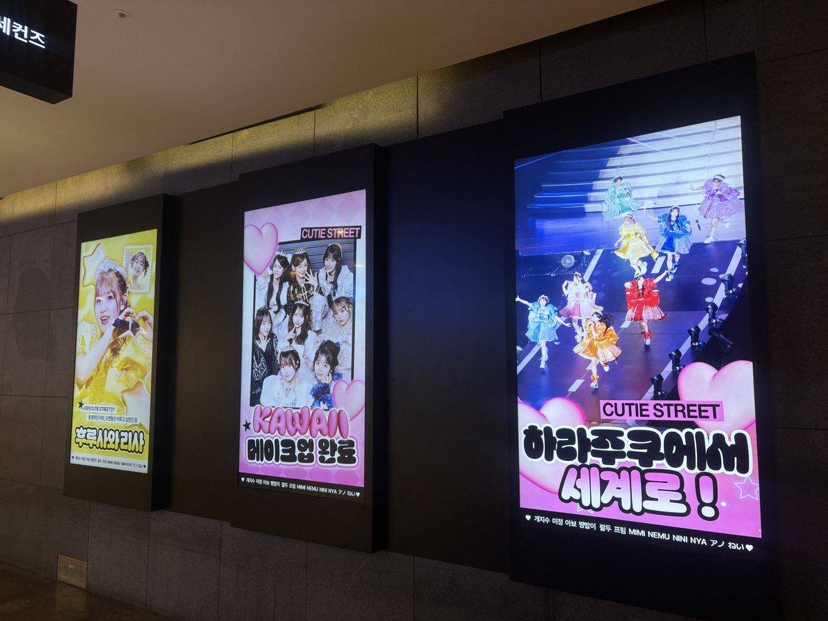 #やっと韓国で出会えたんだよ
#우리귀여워어디쪄

큐스토 한국와서 나 오늘 쓰레기 100개 주엇어
사랑해~~🫶🏻🫶🏻🫶🏻🩷🪽