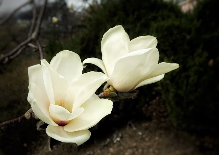 lucía ౨ৎ tweet media