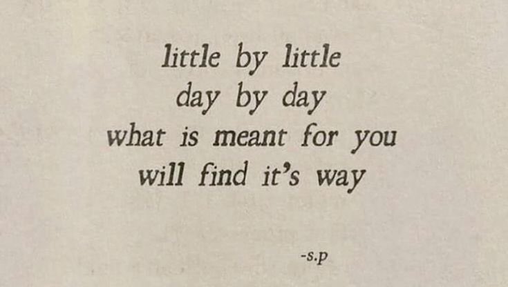 lucía ౨ৎ tweet media