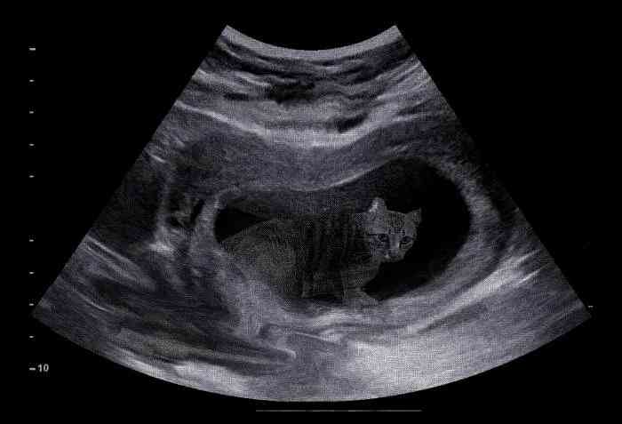 阿奈奈 𝒜𝒩𝒶𝒾 🩷委託開放中🎀 tweet media