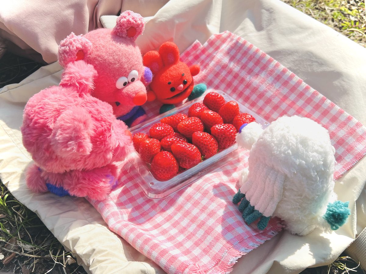 パッチャ🔴✨ tweet media
