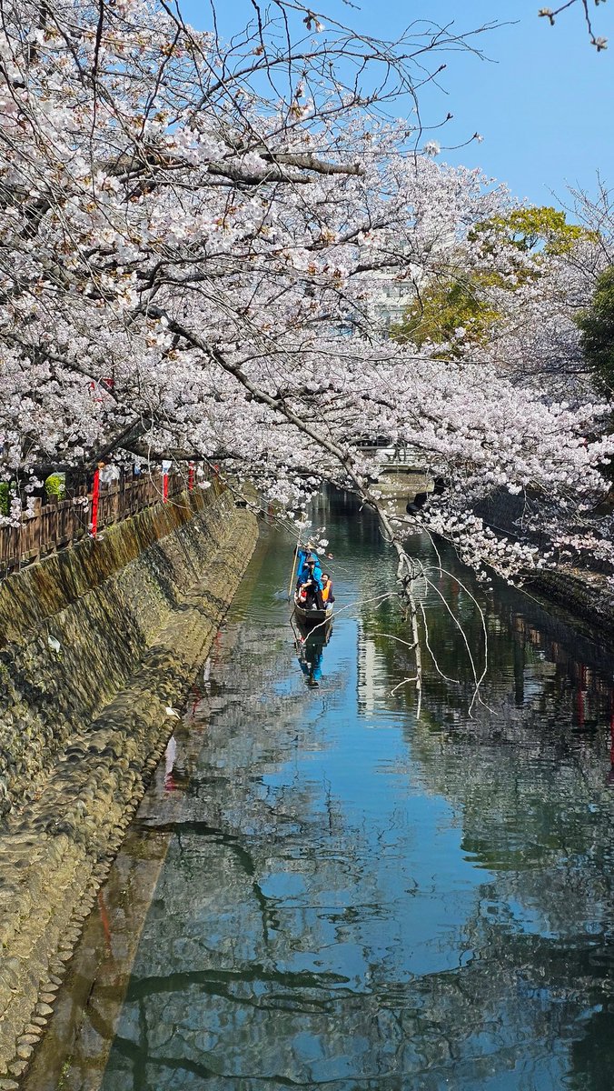 ひなぎふ🪷 tweet media