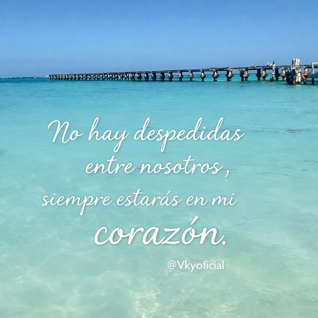 Vkyoficial tweet media