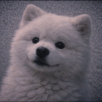 老鹰看行情 tweet media