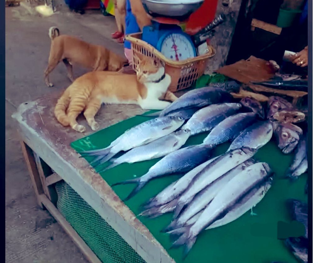 Sultan of Port-Harcourt 🎖️ tweet media