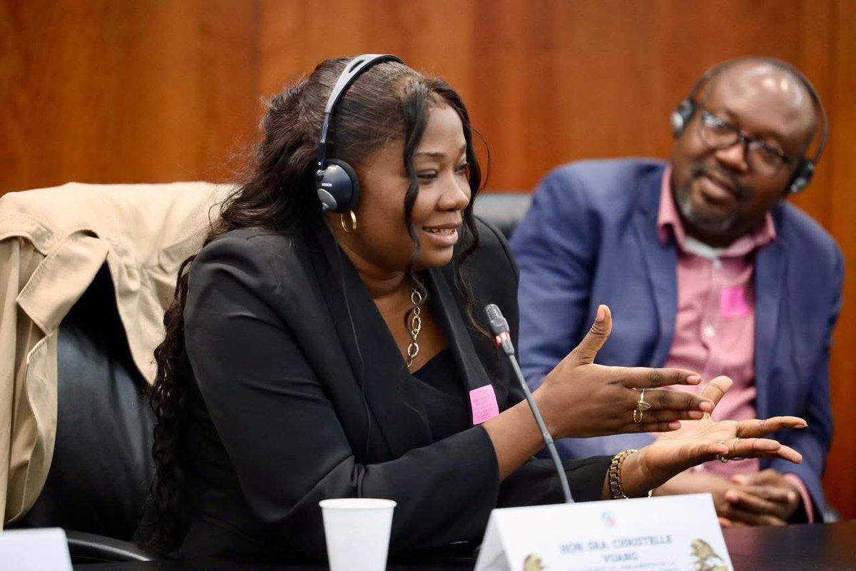 ChristelleVuan1's tweet image. #MEXICO #SÉNAT #1JOURDETRAVAIL  Au Sénat du Mexique, lors d’un débat de haut niveau sur la diplomatie parlementaire entre le Mexique et l’Afrique, j’ai porté la voix de la RDC.

J’y ai rappelé une vérité essentielle : pendant que le monde discute, des vies sont brisées à l’Est…1