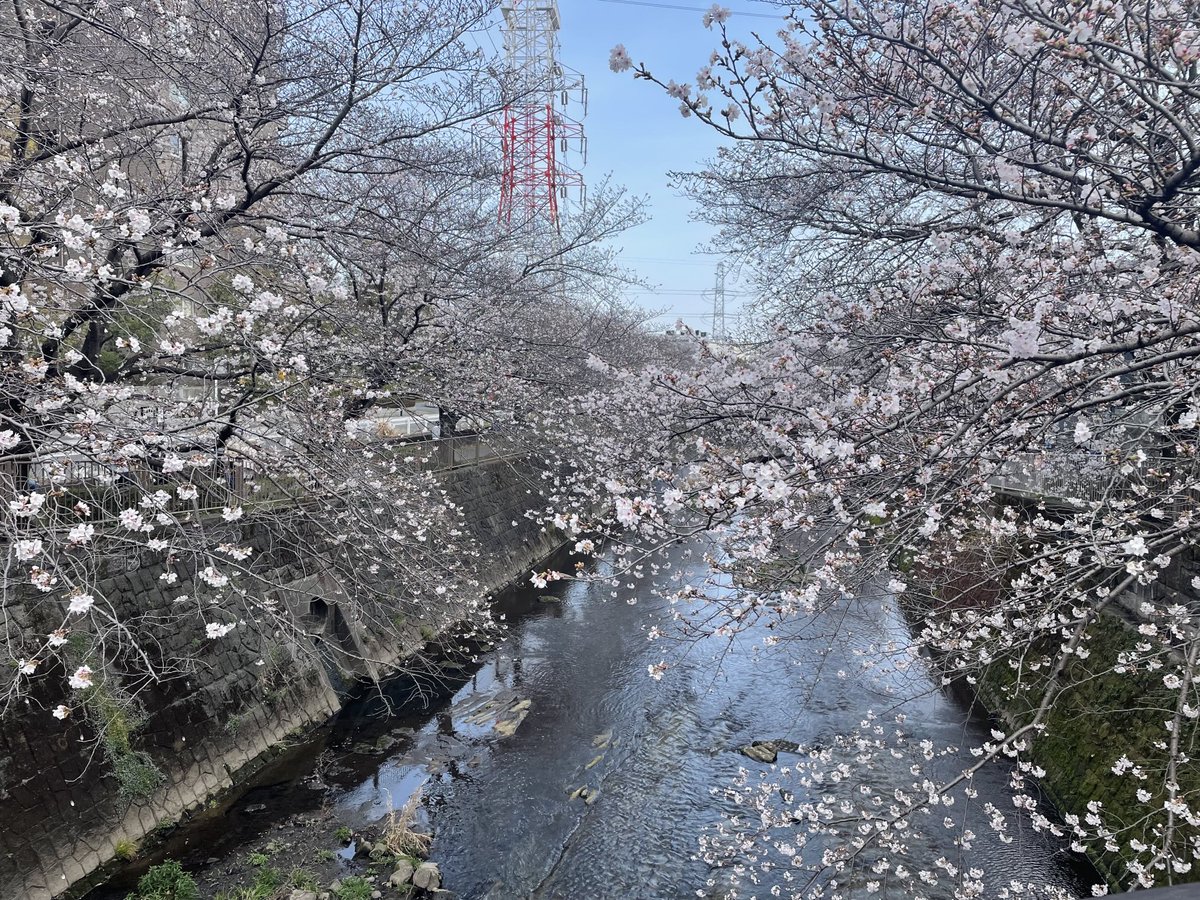 グレアム.W tweet media