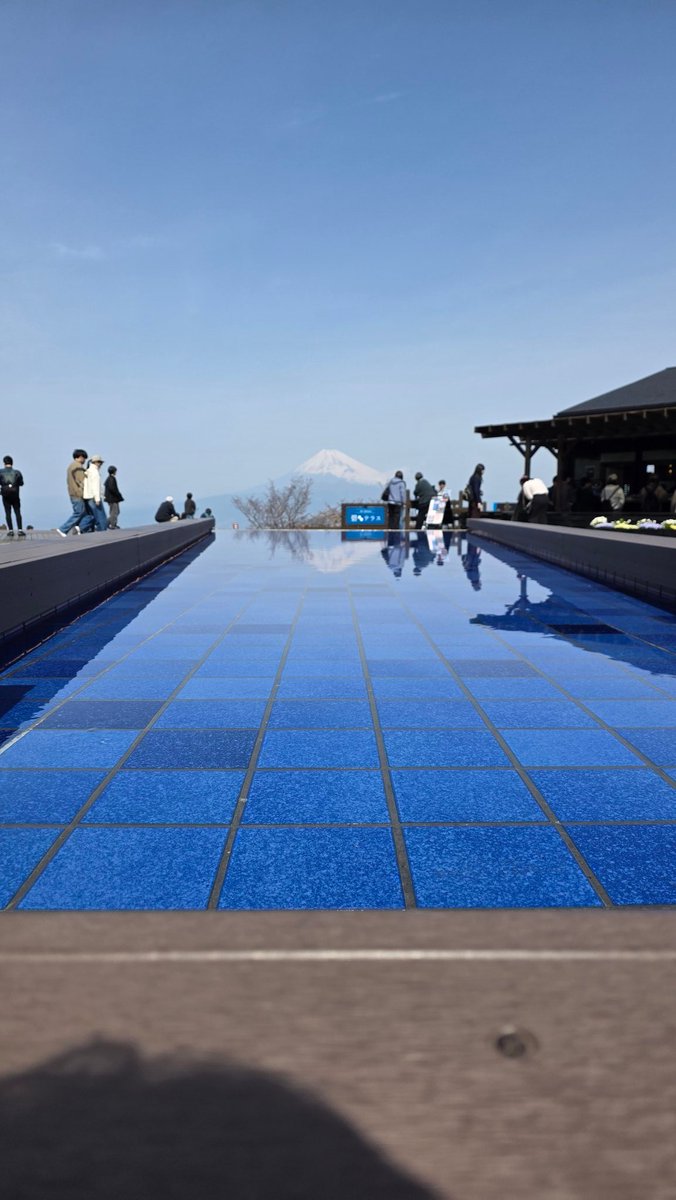 주로먹는사람 tweet media