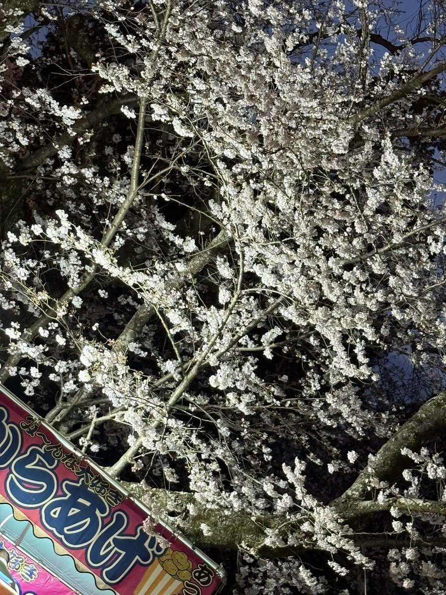 バンライフ狂(日本一周中🚐🎌) tweet media