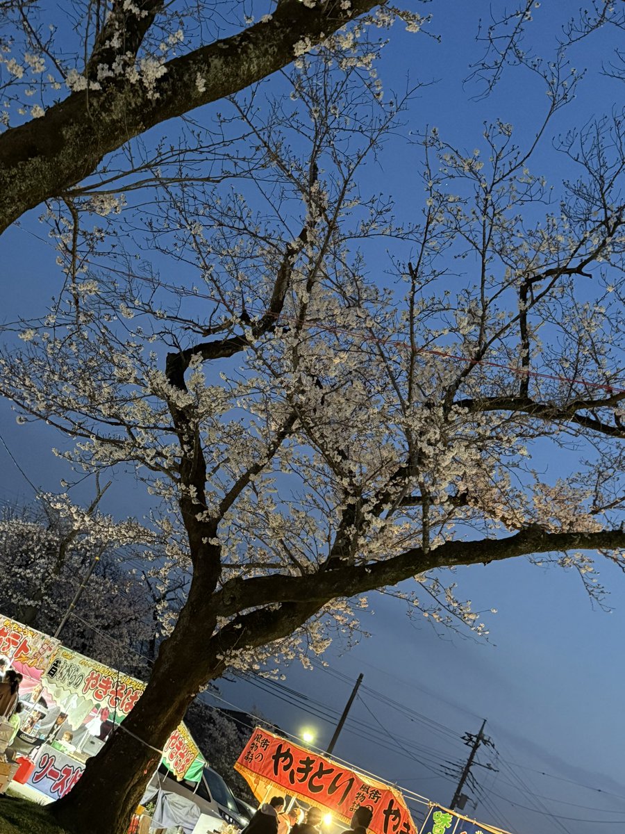 バンライフ狂(日本一周中🚐🎌) tweet media