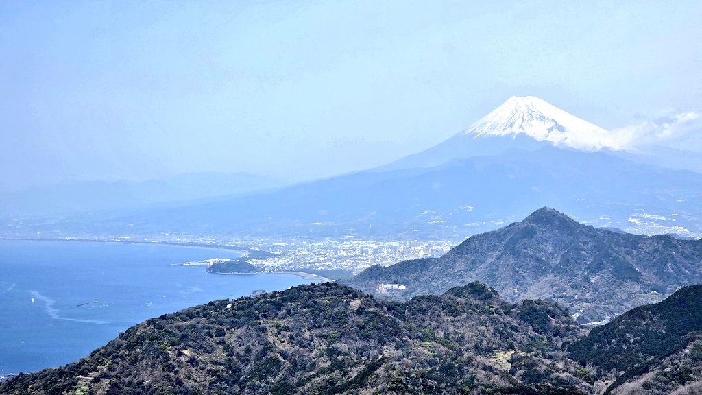 주로먹는사람 tweet media