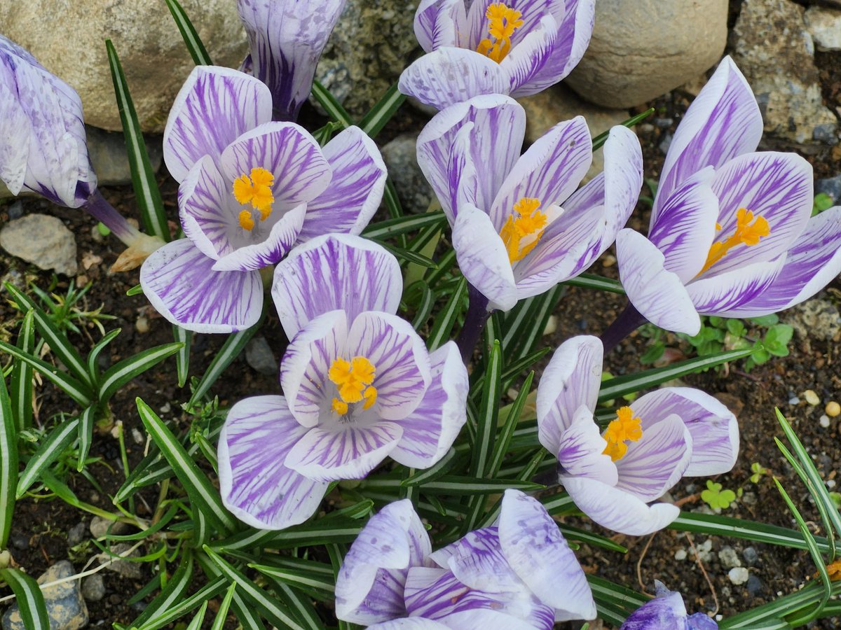 るんりん tweet media