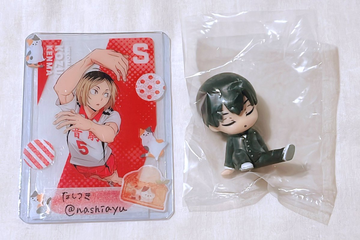 なしつき(プロカご一読ください🐈) tweet media