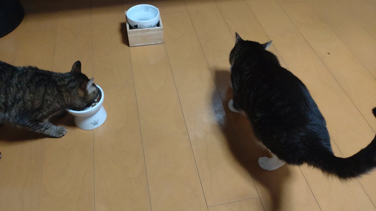 やかん tweet media