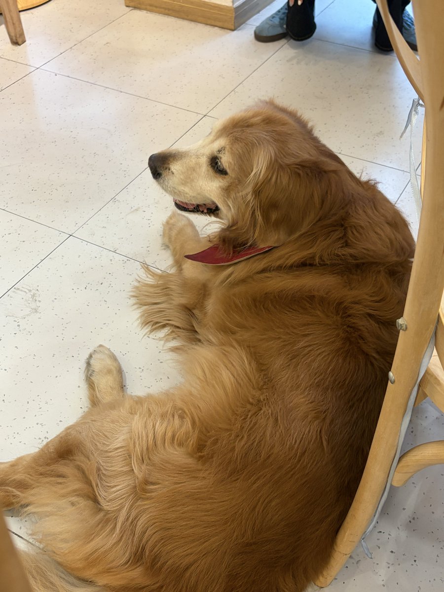 终于躺在马路上 tweet media