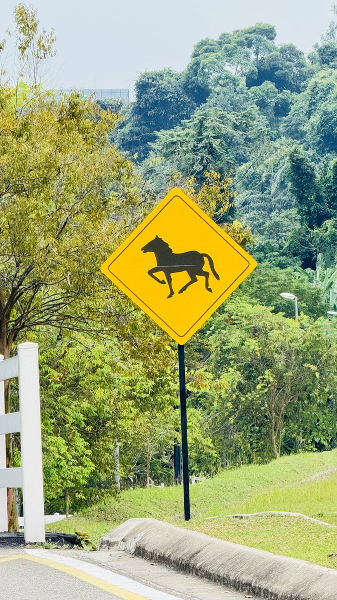 風鈴芽依🎐vtuber封面設計｜委託開放中🎐 tweet media