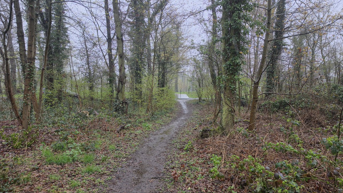 𝕃𝕠𝕦𝕕 𝕚𝕟 𝕊𝕚𝕝𝕖𝕟𝕔𝕖 tweet media