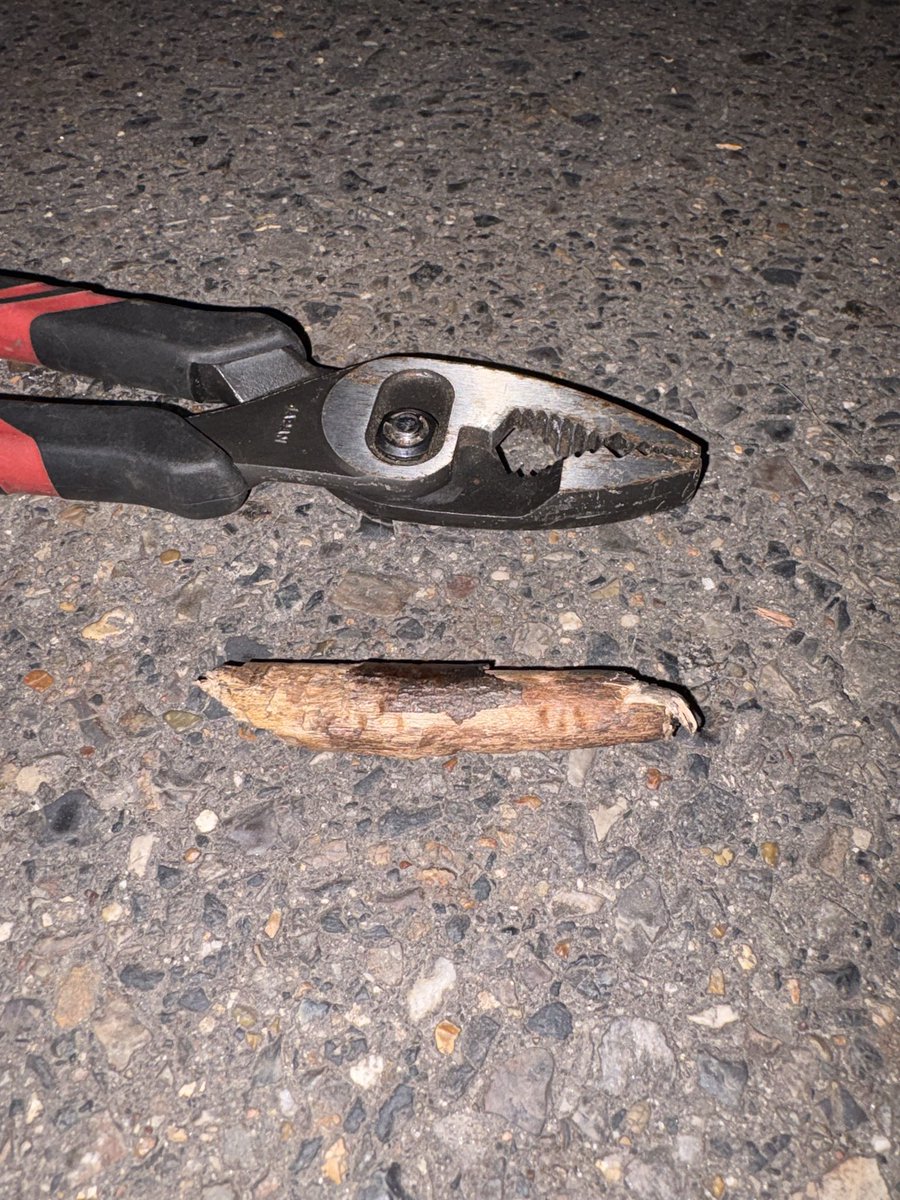 大津崇博　#おれがたらお tweet media