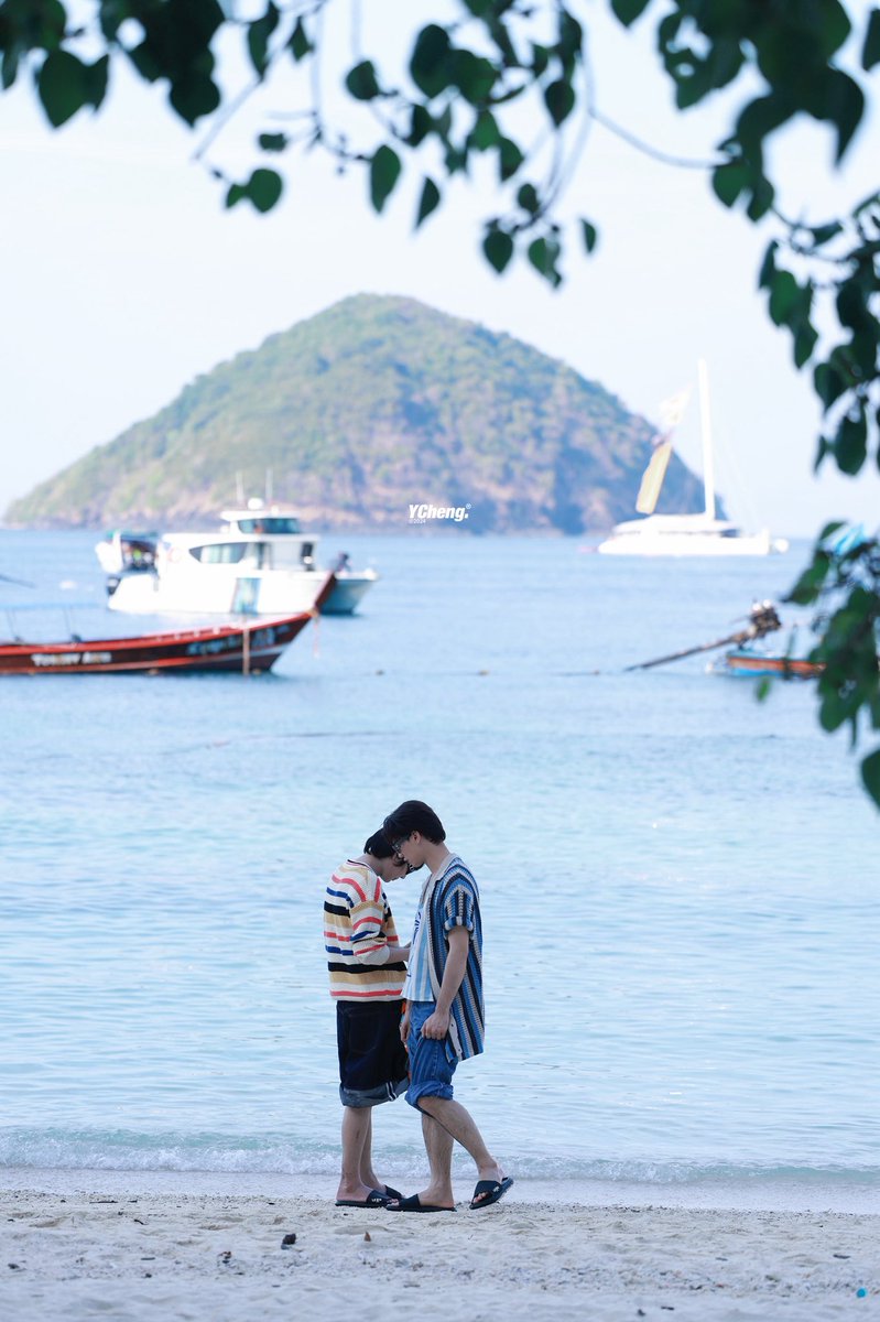 YCheng🍊ʸᶜ📷 tweet media