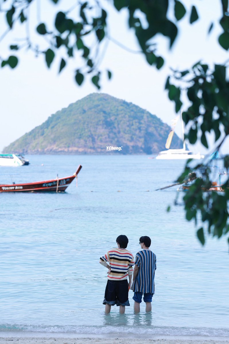 YCheng🍊ʸᶜ📷 tweet media