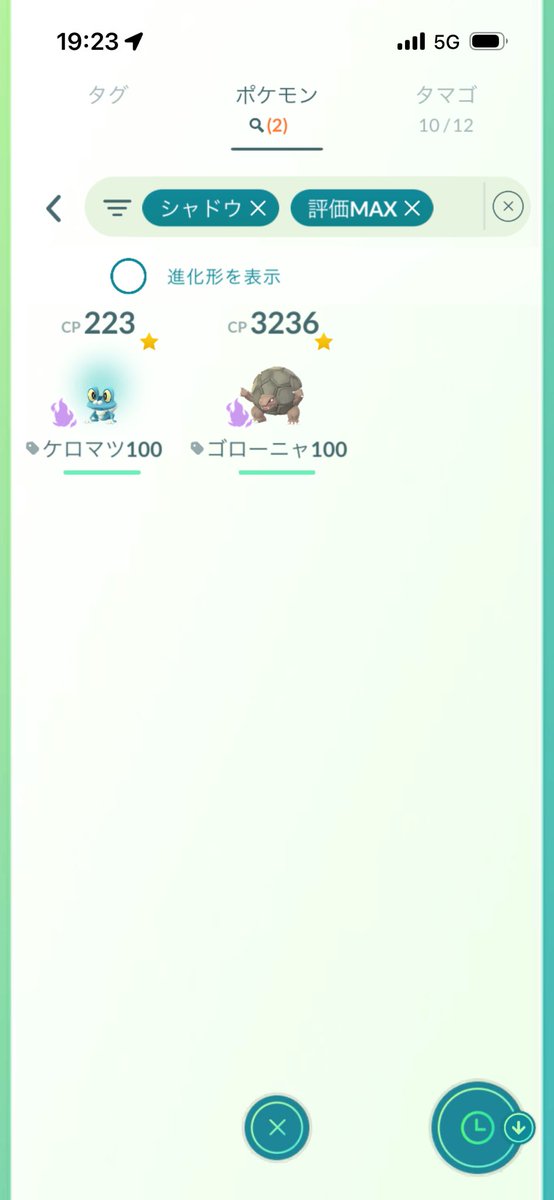 ピッコロマルゲリータ tweet media