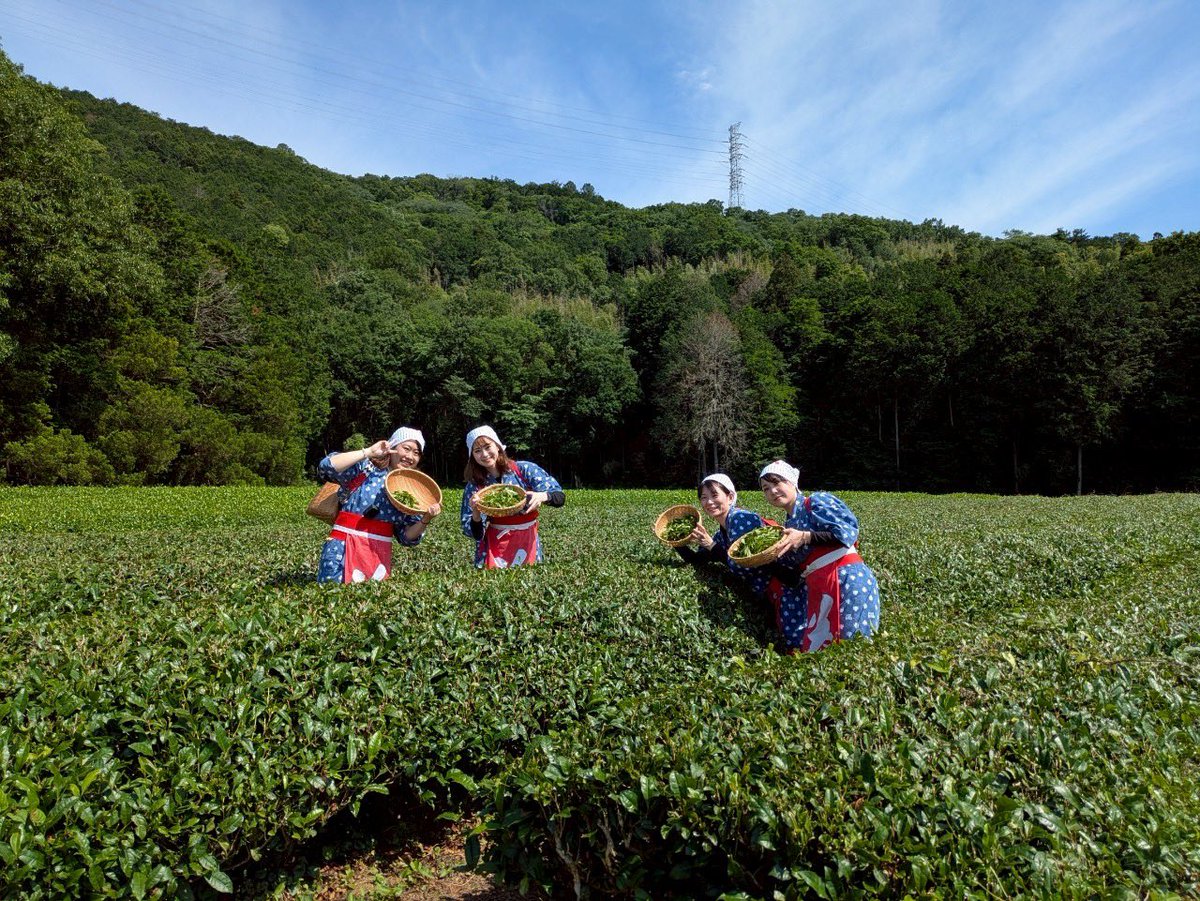 カナ🔰レブル250 tweet media