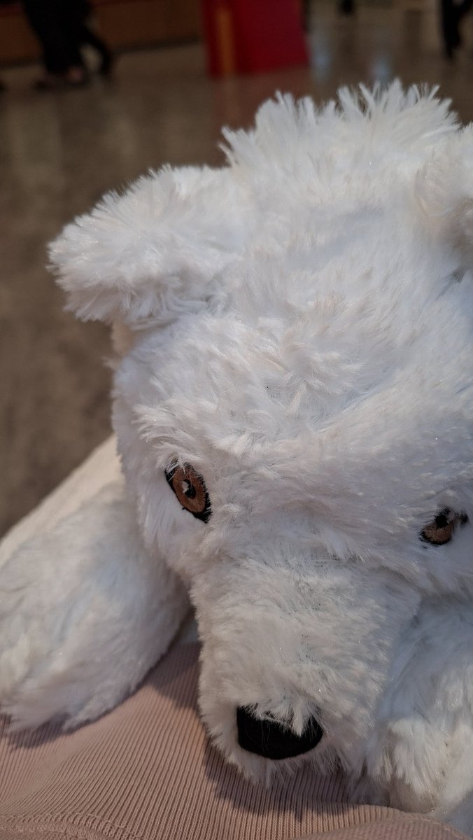 沒有抽到小櫻😭
小可的壽司挺好吃的
順便去逛了IKEA獲得一個狐狸朋友
#里莫看這裡 
#哈魯肉飯