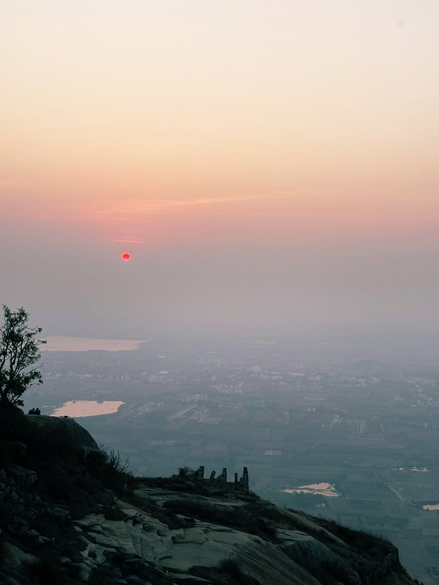 Shalini Singh tweet media